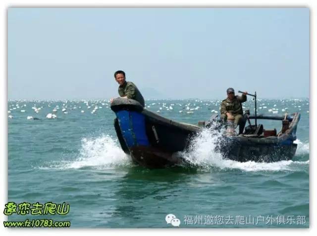 赶海1月捡上万鞋花赶海1月捡上万鞋花，揭秘海洋宝藏的神奇之旅