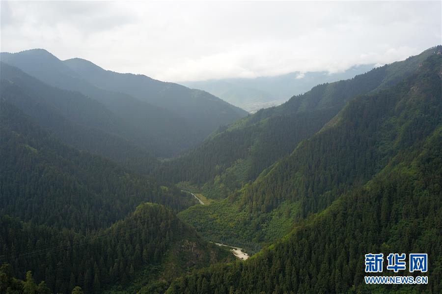 兴隆山cs兴隆山CS，探寻热门游戏背后的魅力之地