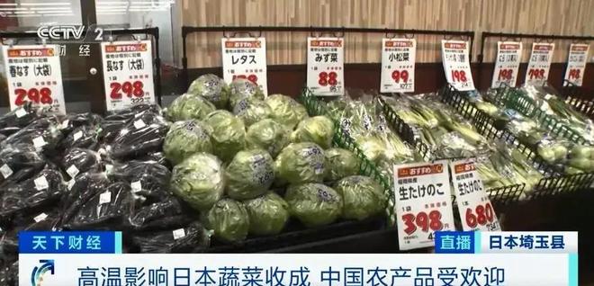 中国蔬菜出口日本中国蔬菜出口日本的现状与发展前景